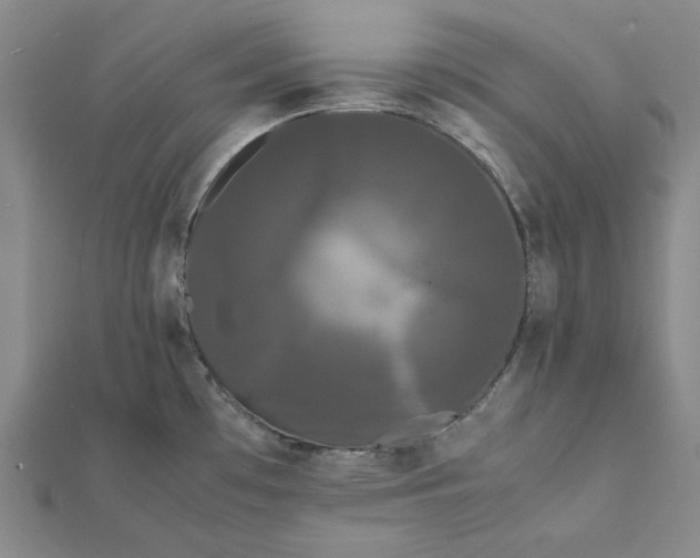 X0000112071481200908251032