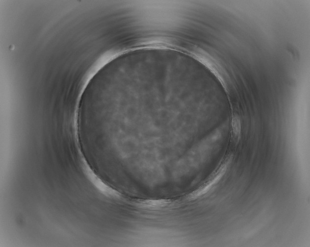 X0000112071482200908251032