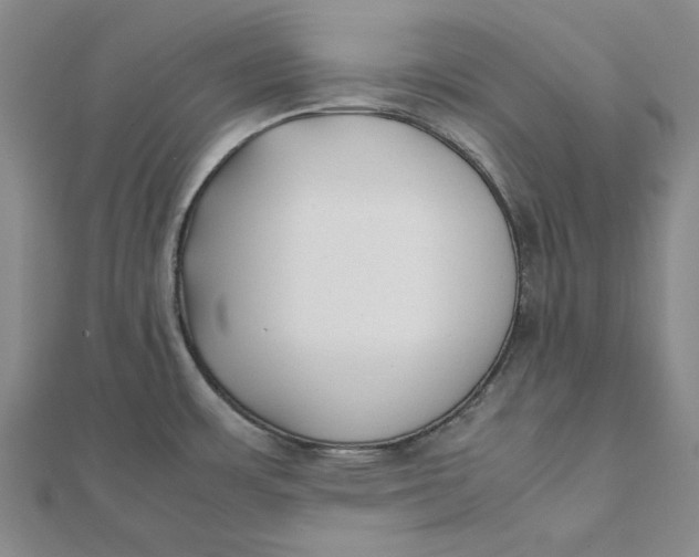 X0000112071483200908251032