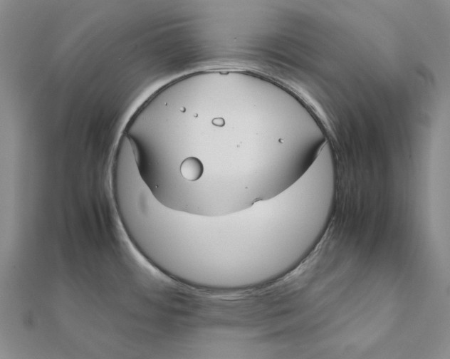 X0000112071484200908251032