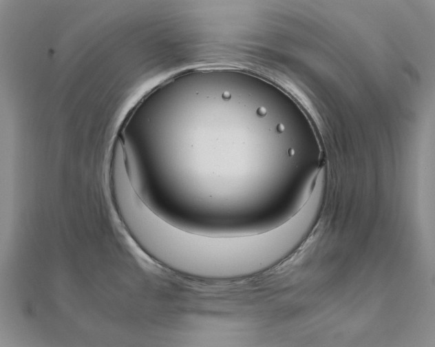 X0000112071485200908251032