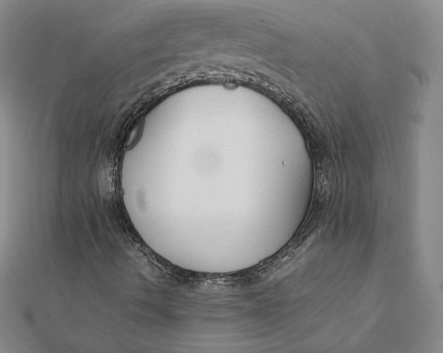 X0000112071490200908251031