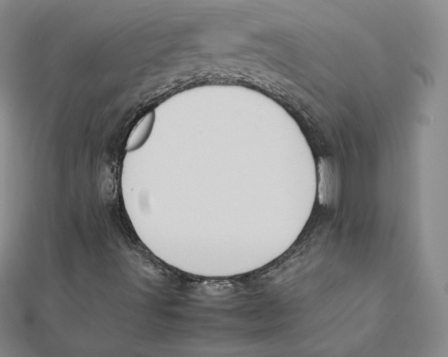 X0000112071491200908251031
