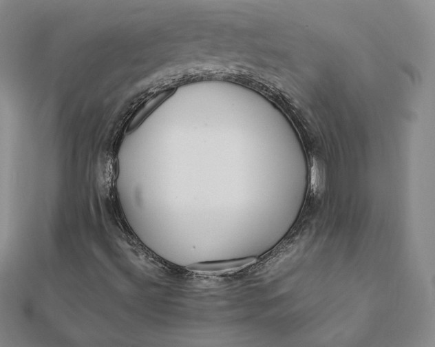 X0000112071492200908251031