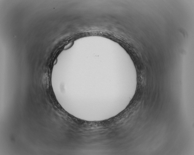 X0000112071493200908251031