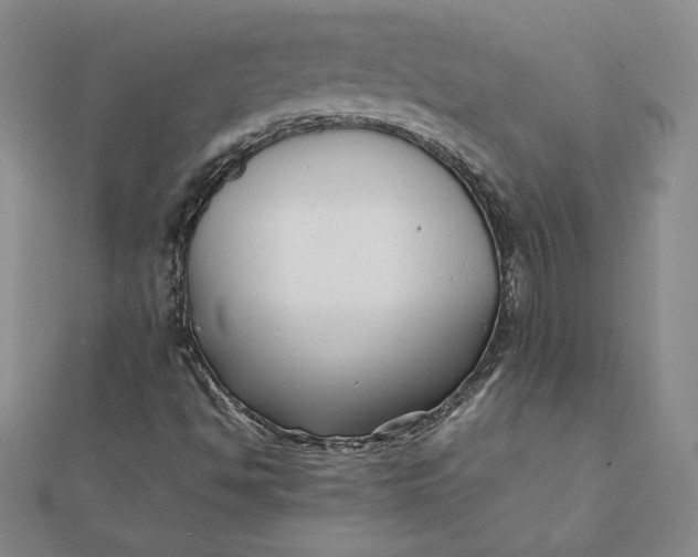 X0000112071494200908251031