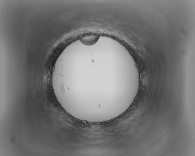 X0000112071495200908251031