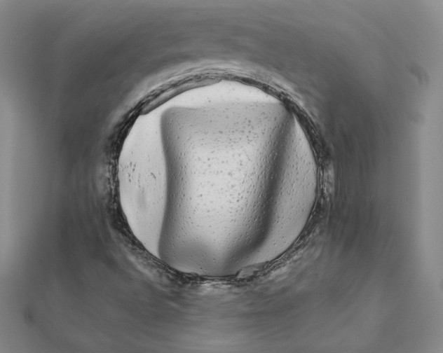 X0000112071496200908251031