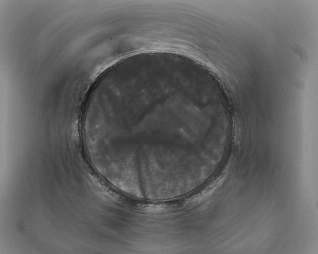 X0000112071497200908251031