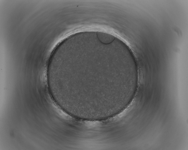 X0000112071498200908251031