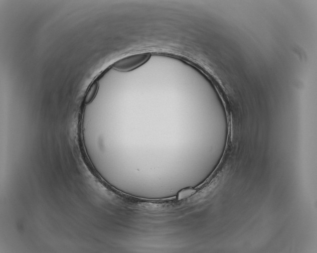 X0000112071500200908251031