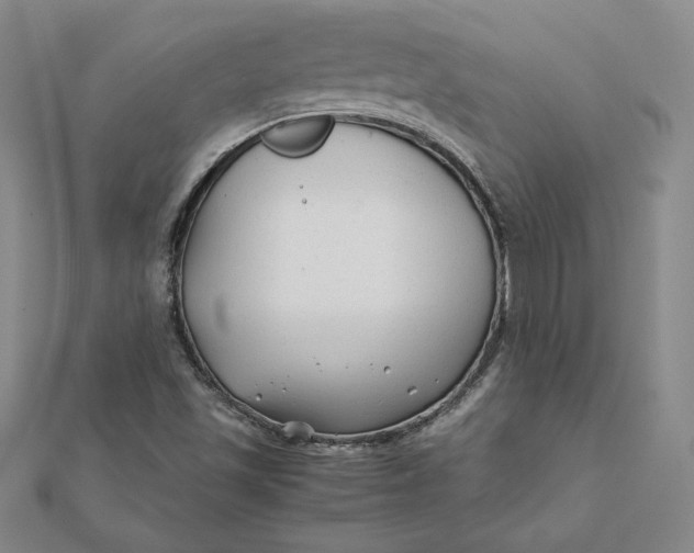 X0000112071501200908251031