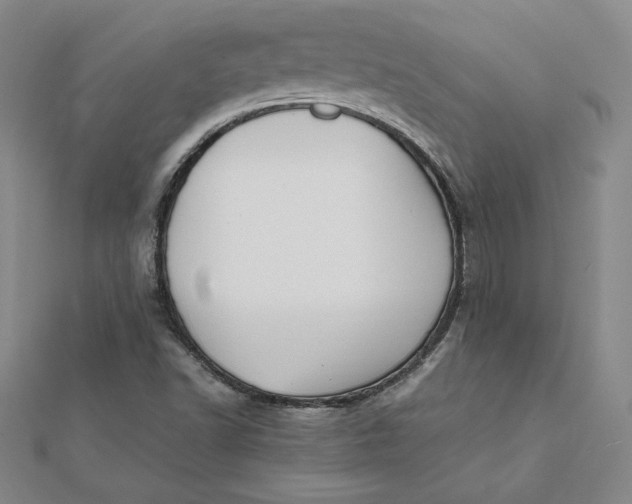 X0000112071502200908251031