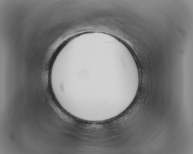 X0000112071503200908251031