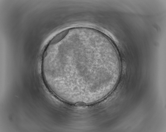 X0000112071504200908251031