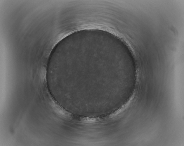 X0000112071505200908251031