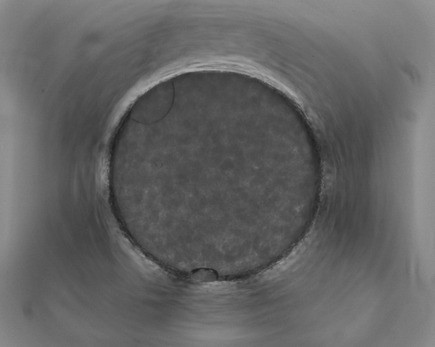 X0000112071506200908251031