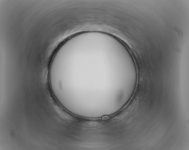 X0000112071507200908251031