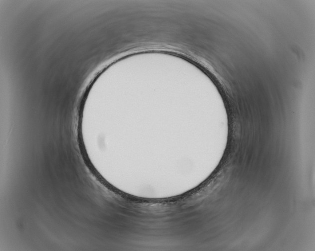 X0000112071508200908251031