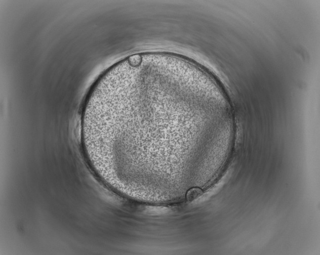 X0000112071509200908251031