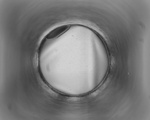 X0000112071510200908251031