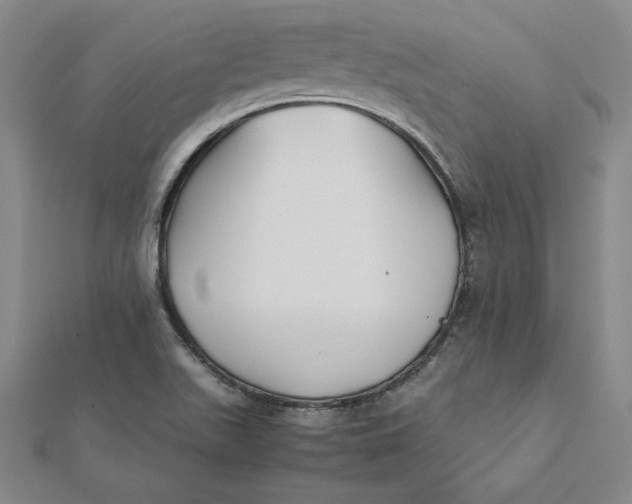 X0000112071511200908251031