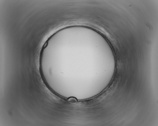 X0000112071512200908251031