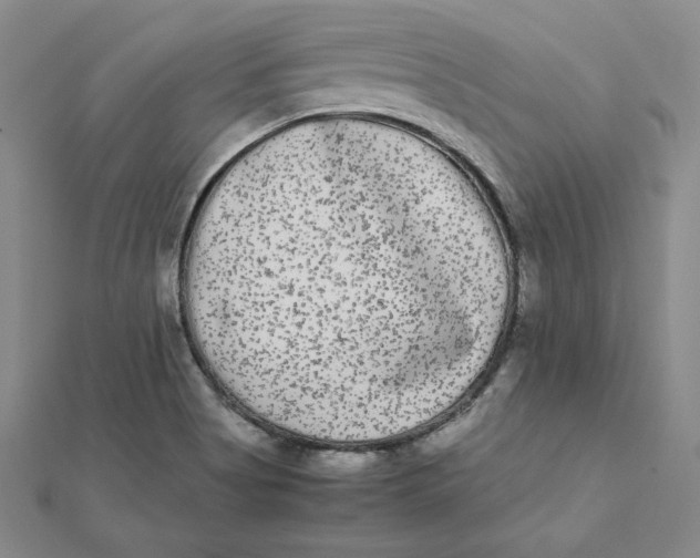 X0000112071513200908251031