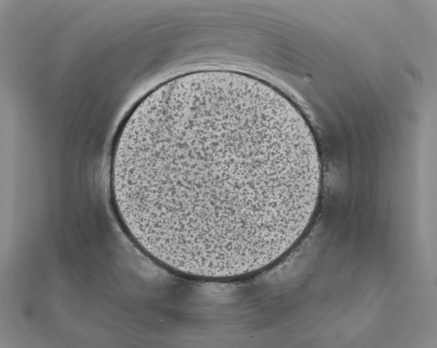 X0000112071514200908251031