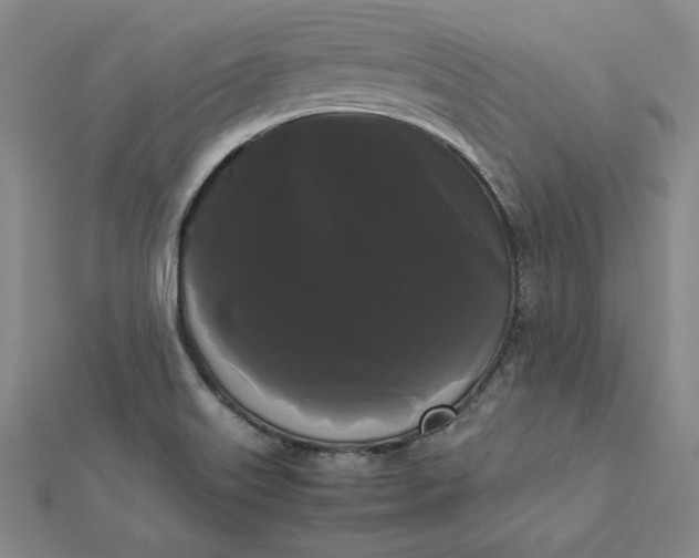 X0000112071515200908251031