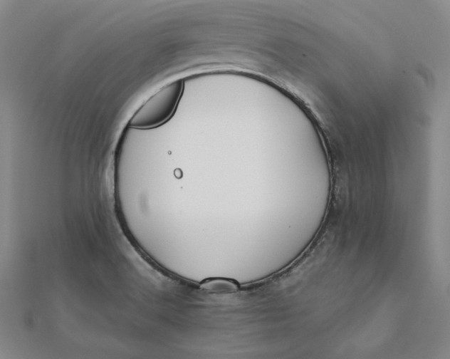 X0000112071516200908251031