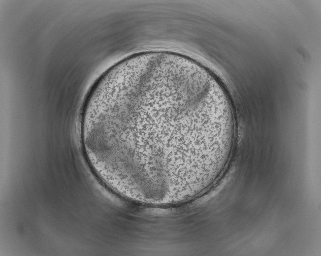 X0000112071517200908251031