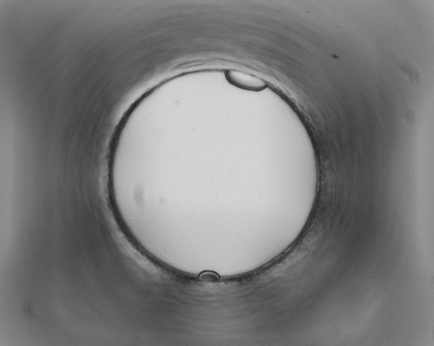 X0000112071518200908251031