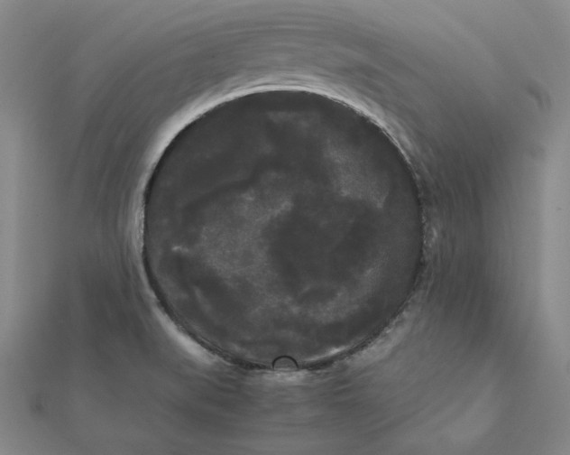 X0000112071519200908251031
