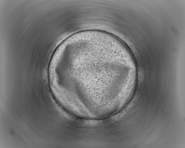 X0000112071521200908251032