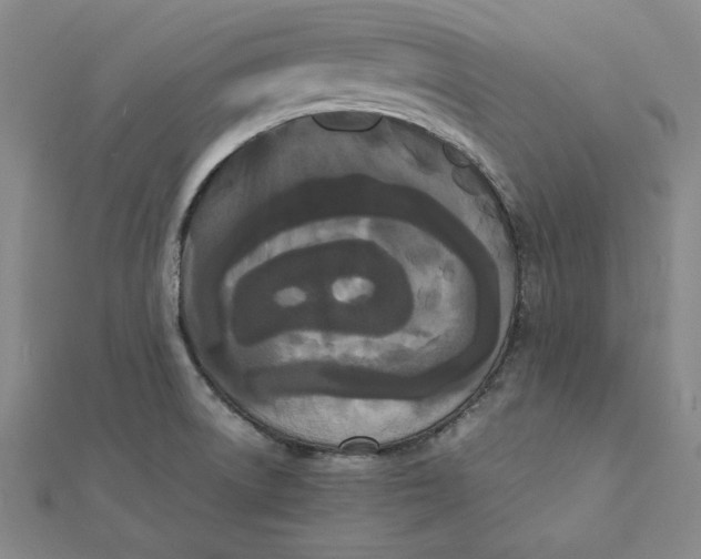 X0000112071522200908251032