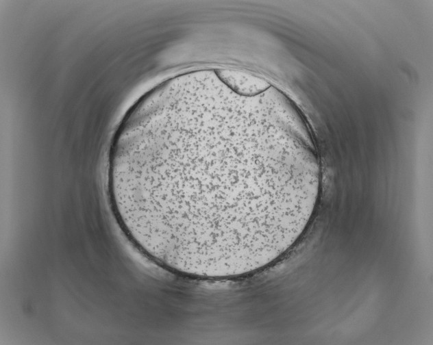 X0000112071523200908251032