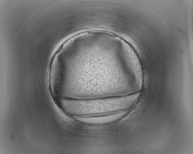 X0000112071524200908251032