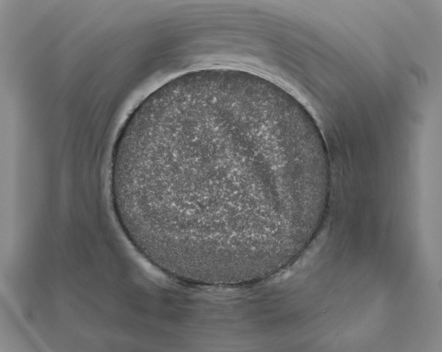 X0000112071525200908251032