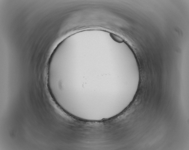 X0000112071526200908251032
