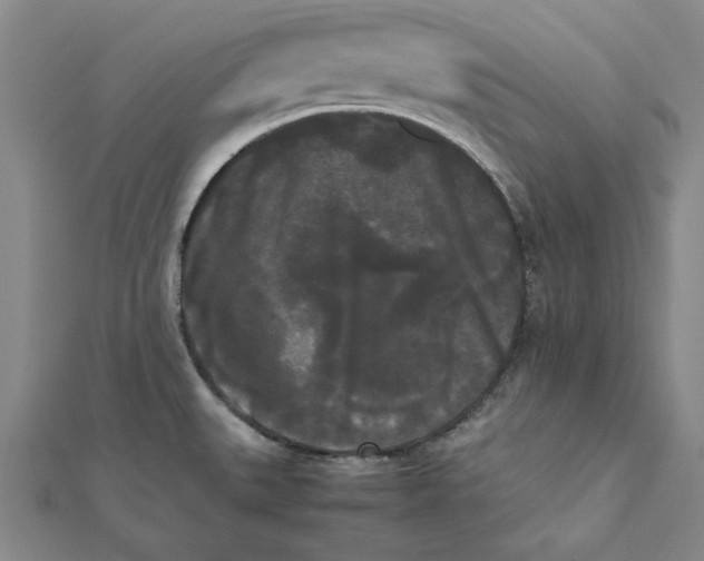 X0000112071527200908251032