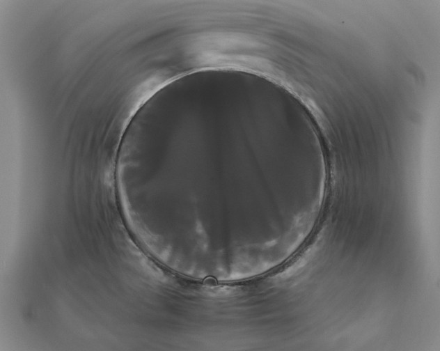X0000112071529200908251032