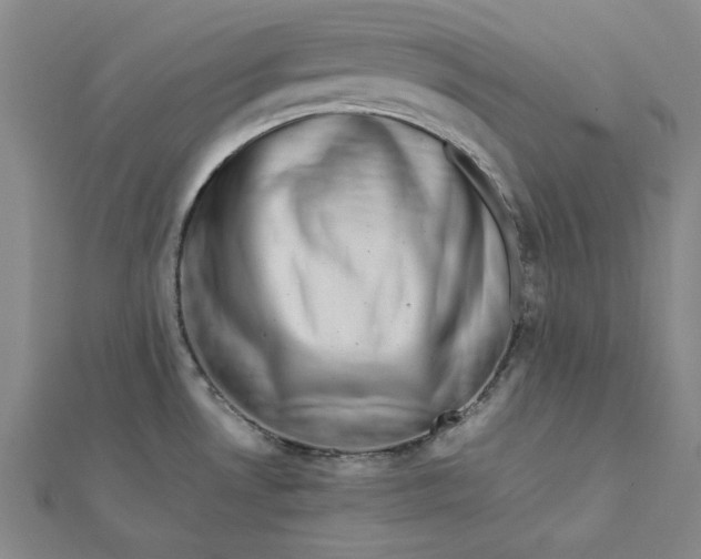 X0000112071530200908251032