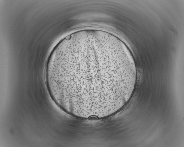 X0000112071531200908251032