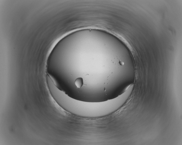 X0000112071532200908251032