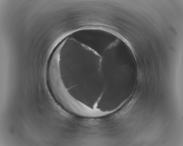X0000112071533200908251032