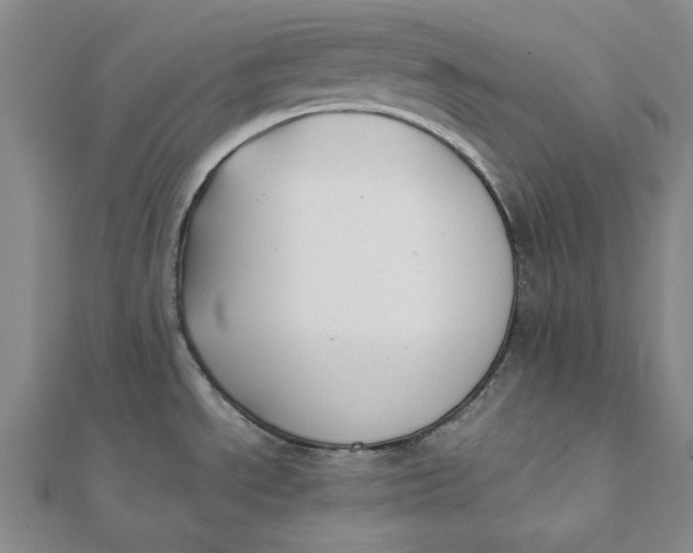 X0000112071534200908251032