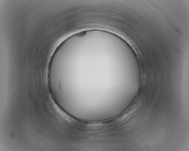 X0000112071535200908251032
