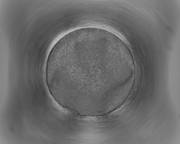 X0000112071536200908251032