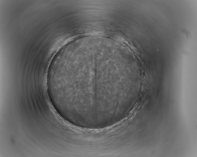 X0000112070002200909011032